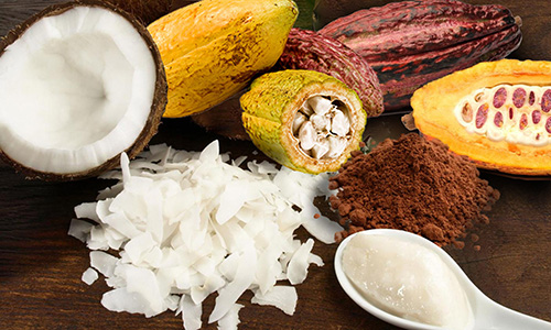 cacau e coco Imagem de produtos Cacau e Coco